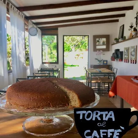 Vittoria 4*