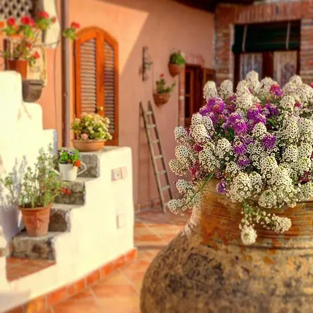 Vittoria Bed and Breakfast 4*