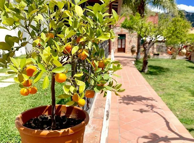 Vittoria Bed and Breakfast 4*