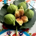 Vittoria Alojamento de Acomodação e Pequeno-almoço 4*