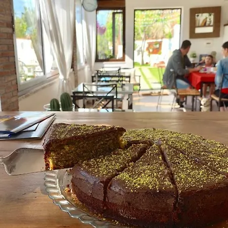 Vittoria Couette-café