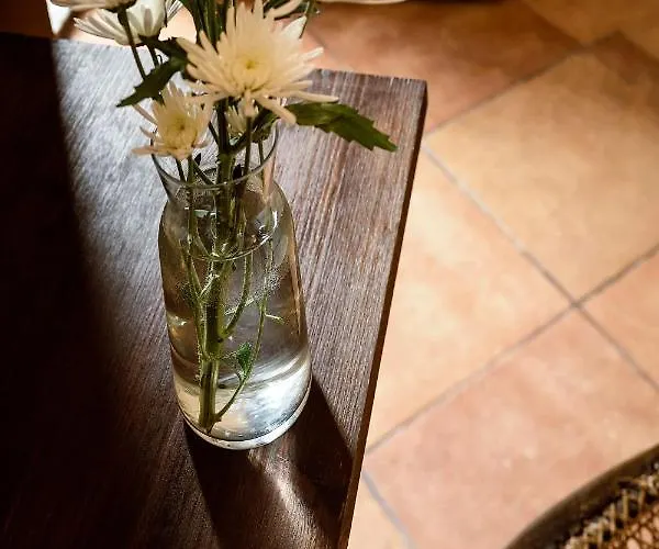 Vittoria 贾迪尼-纳克索斯